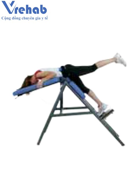 Thiết bị tập lưng hông tổng hợp Total Back 0